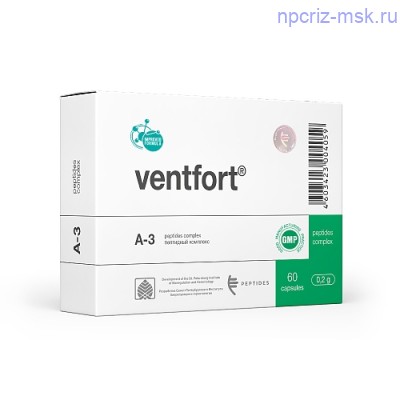 Вентфорт (Ventfort) - сосудистая система